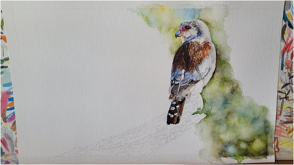 hyper-realistic pygmy falcon painting by the happy struggling artist 003