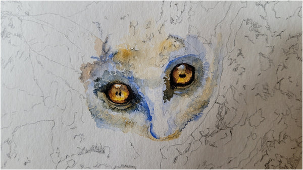 watercolour painting of lesser bushbaby by the happy struggling artist_001