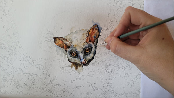 watercolour painting of lesser bushbaby by the happy struggling artist_002