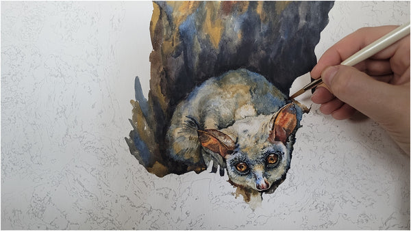 watercolour painting of lesser bushbaby by the happy struggling artist_004