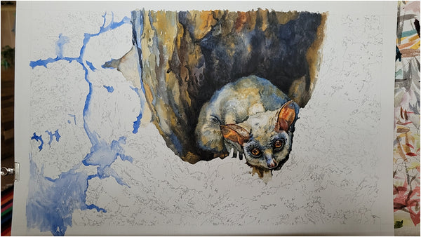 watercolour painting of lesser bushbaby by the happy struggling artist_005