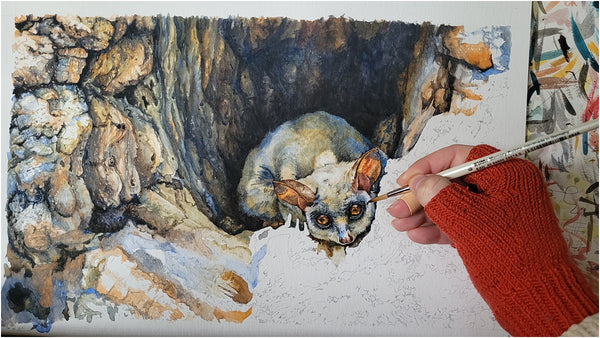 watercolour painting of lesser bushbaby by the happy struggling artist_007