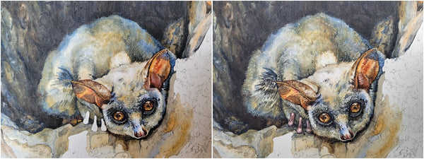 watercolour painting of lesser bushbaby by the happy struggling artist_008