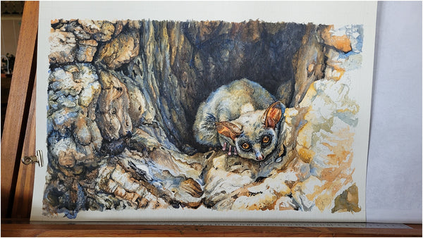 watercolour painting of lesser bushbaby by the happy struggling artist_009