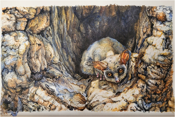 watercolour painting of lesser bushbaby by the happy struggling artist_010