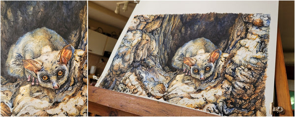 watercolour painting of lesser bushbaby by the happy struggling artist_011
