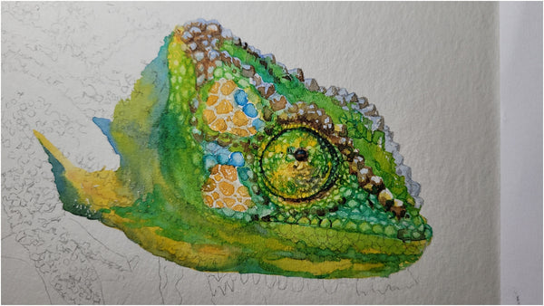 watercolour chameleon painting wip 003