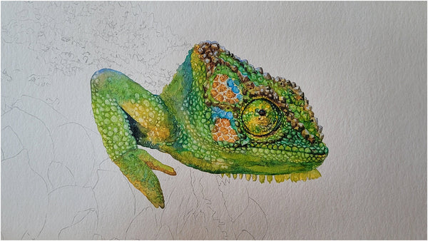watercolour chameleon painting wip 005