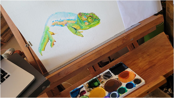 watercolour chameleon painting wip 007