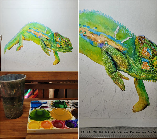 watercolour chameleon painting wip 008