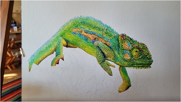 watercolour chameleon painting wip 009