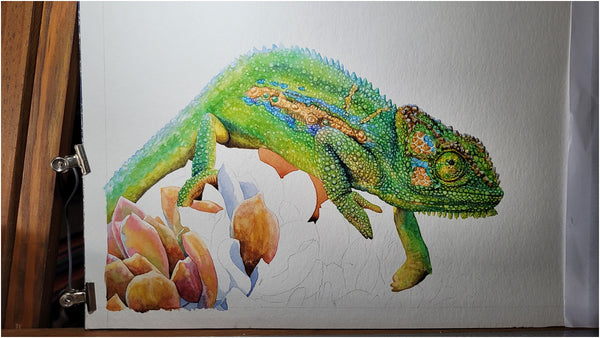 watercolour chameleon painting wip 010
