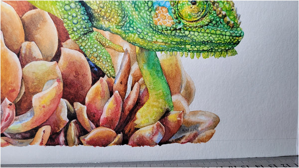 watercolour chameleon painting wip 013