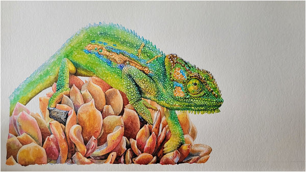 watercolour chameleon painting wip 014
