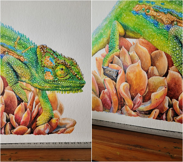 watercolour chameleon painting wip 015