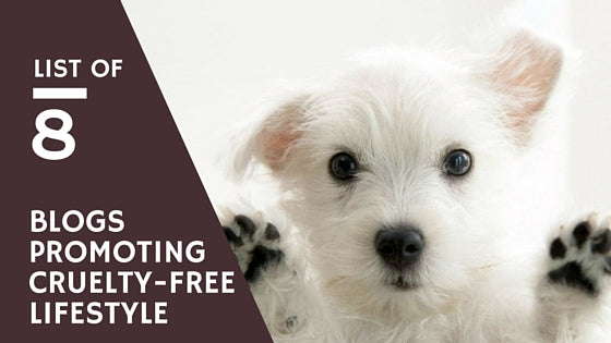 Cruelty Free Blogs We Love (And You Would, Too)