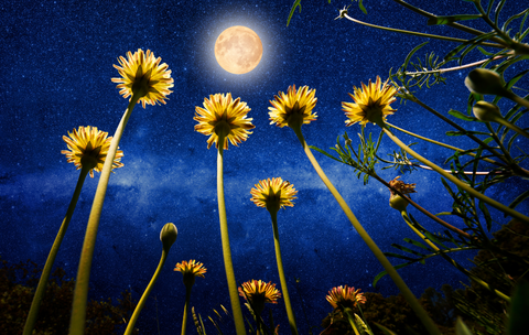 What is a full moon ritual?