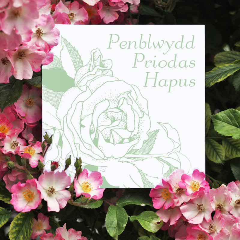 Card Penblwydd Priodas Hapus Happy Wedding Anniversary The