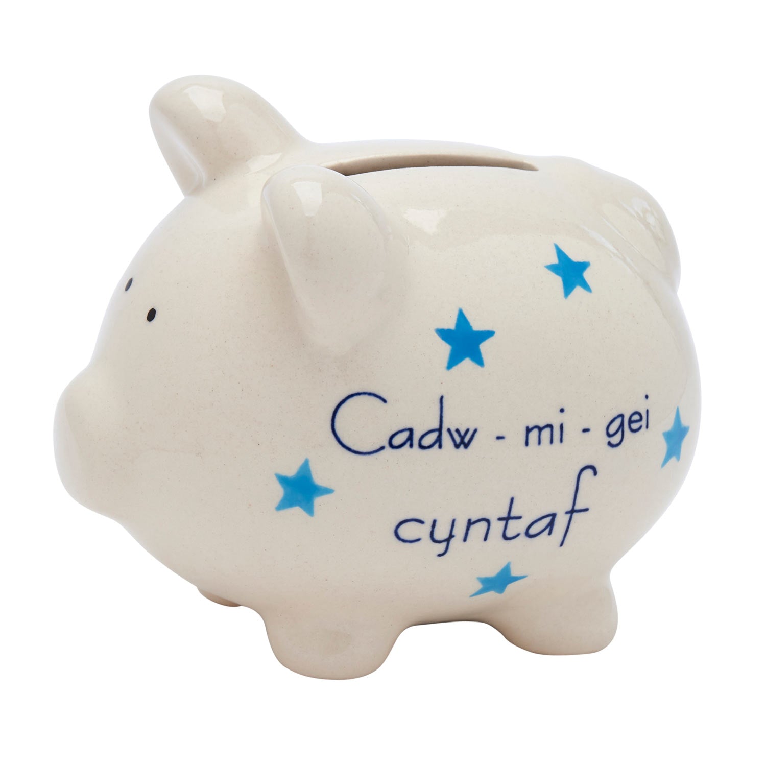 Piggy Bank Cadw Mi Gei Cyntaf My First Money Box The Welsh - 