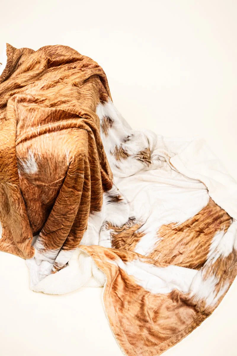 Cocoa ~ Cow ~ Plush ~ Sherpa ~ Blanket