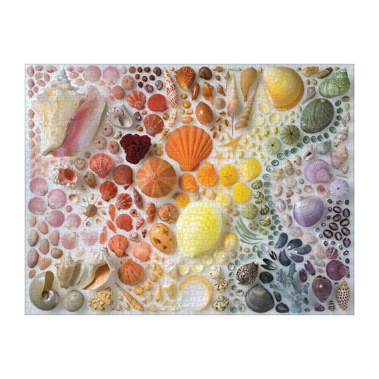 Rainbow Seashells Puzzle