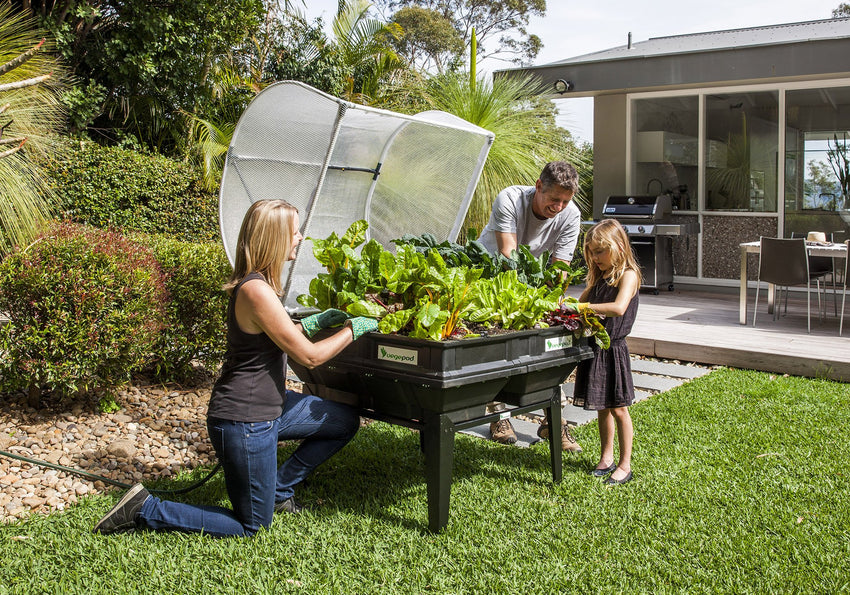 Image of Vegepod raised garden bed with wicking bed system