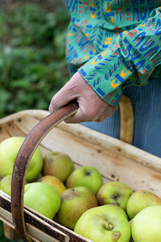 A close up picture of Rorys hand in Humphries and Begg Green Skydive shirt holding a basket of apples