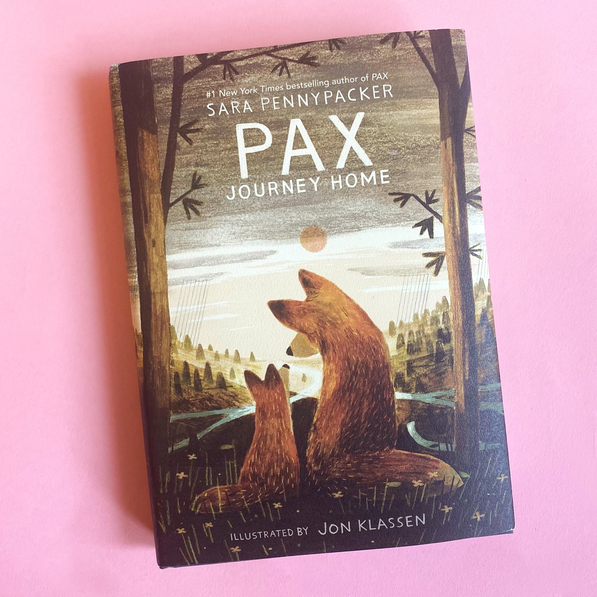 Pax, Journey Home by Sara Pennypacker