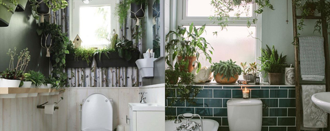 Idée déco WC Plante Verte