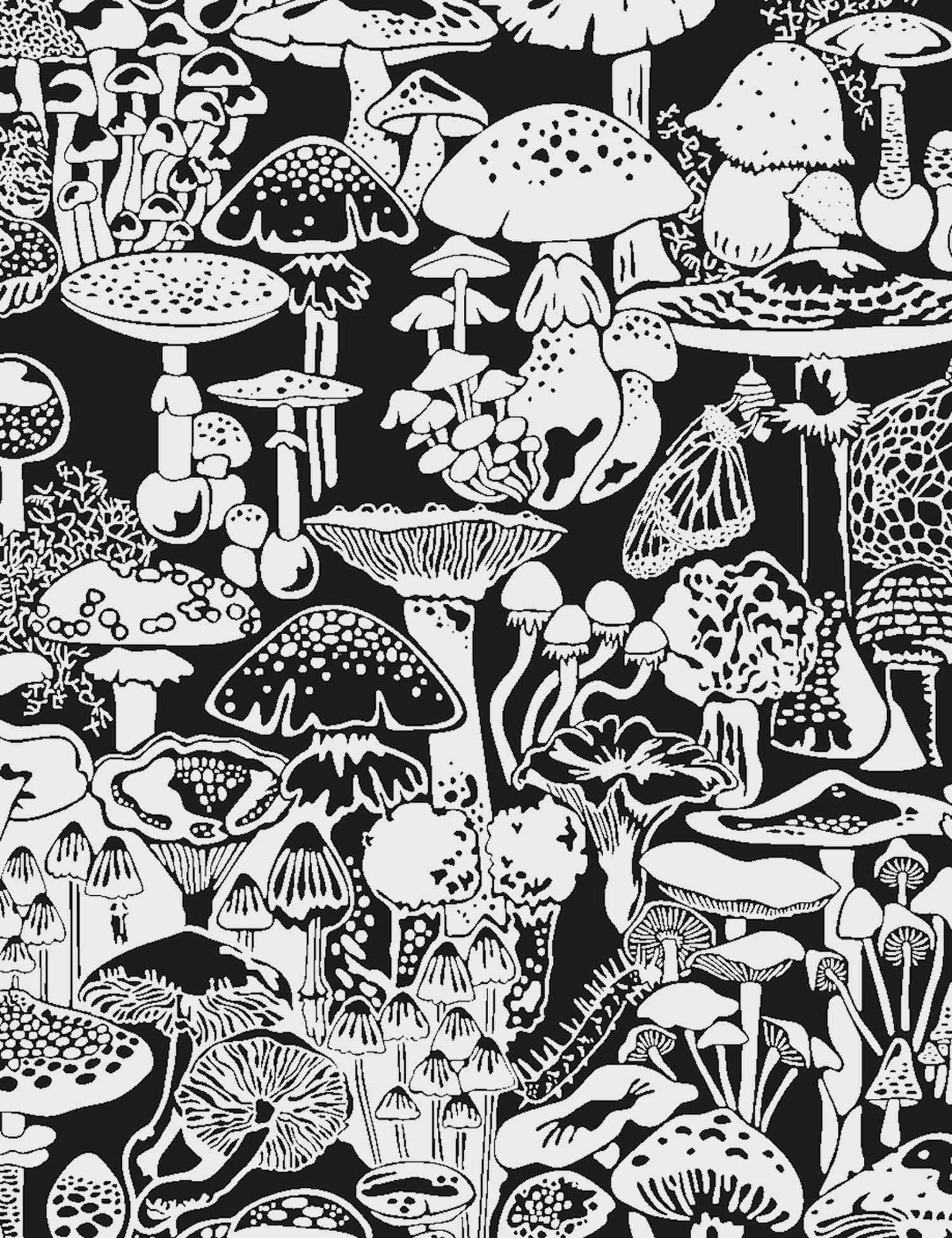 Mushroom Art Wallpapers  Top Free Mushroom Art Backgrounds   WallpaperAccess