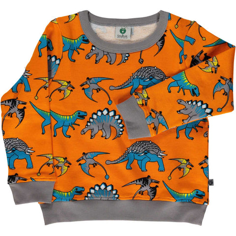 Funky Dino Sweatshirt