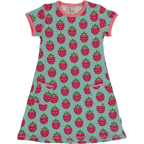 Raspberry Dress