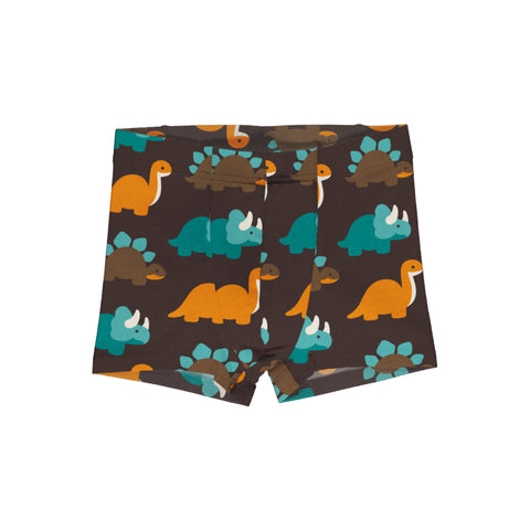 Dinosaur Boxers