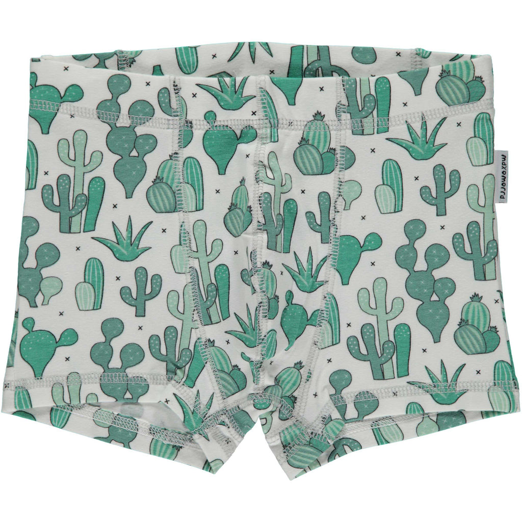 Cactus Desert Boxers