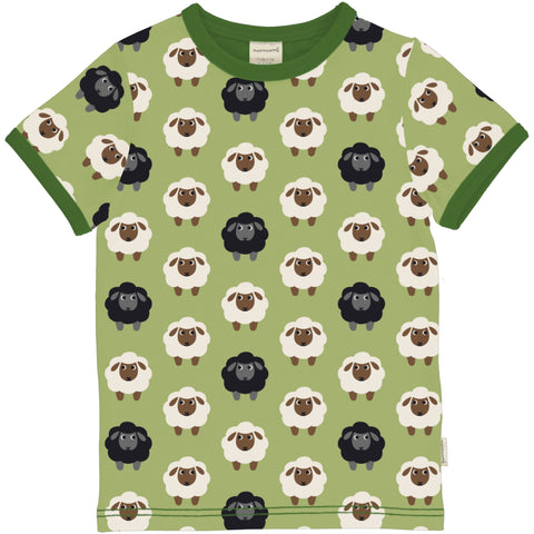 Sheep T-Shirt