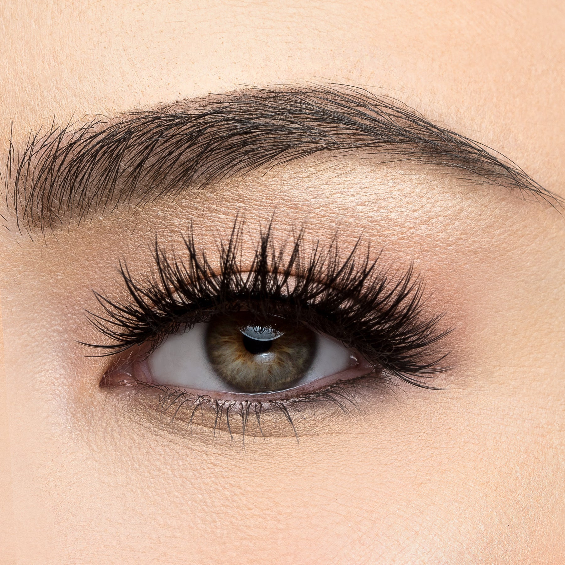 Ardell Eyelashes . Individuals and Strip lash styles ...