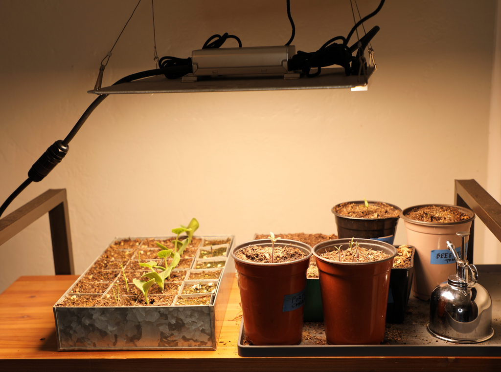 Grow Light Full Spectrum Indoor Gardening