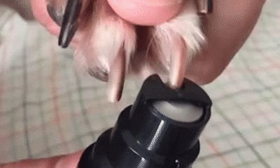 Image result for dog nail grinder gif