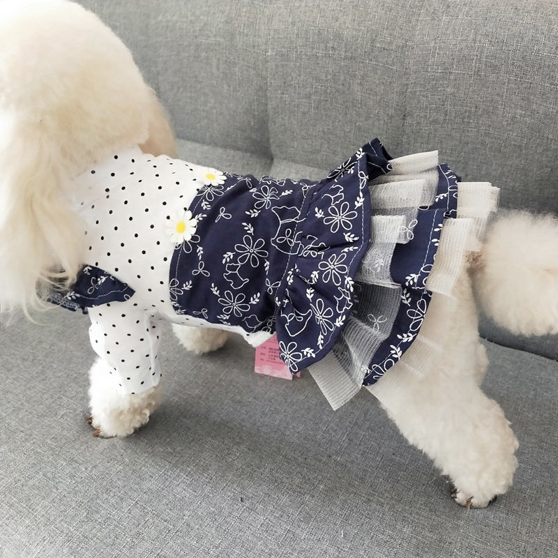 dog clothes online