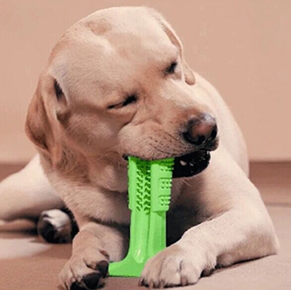 dog toothbrushes wholesale