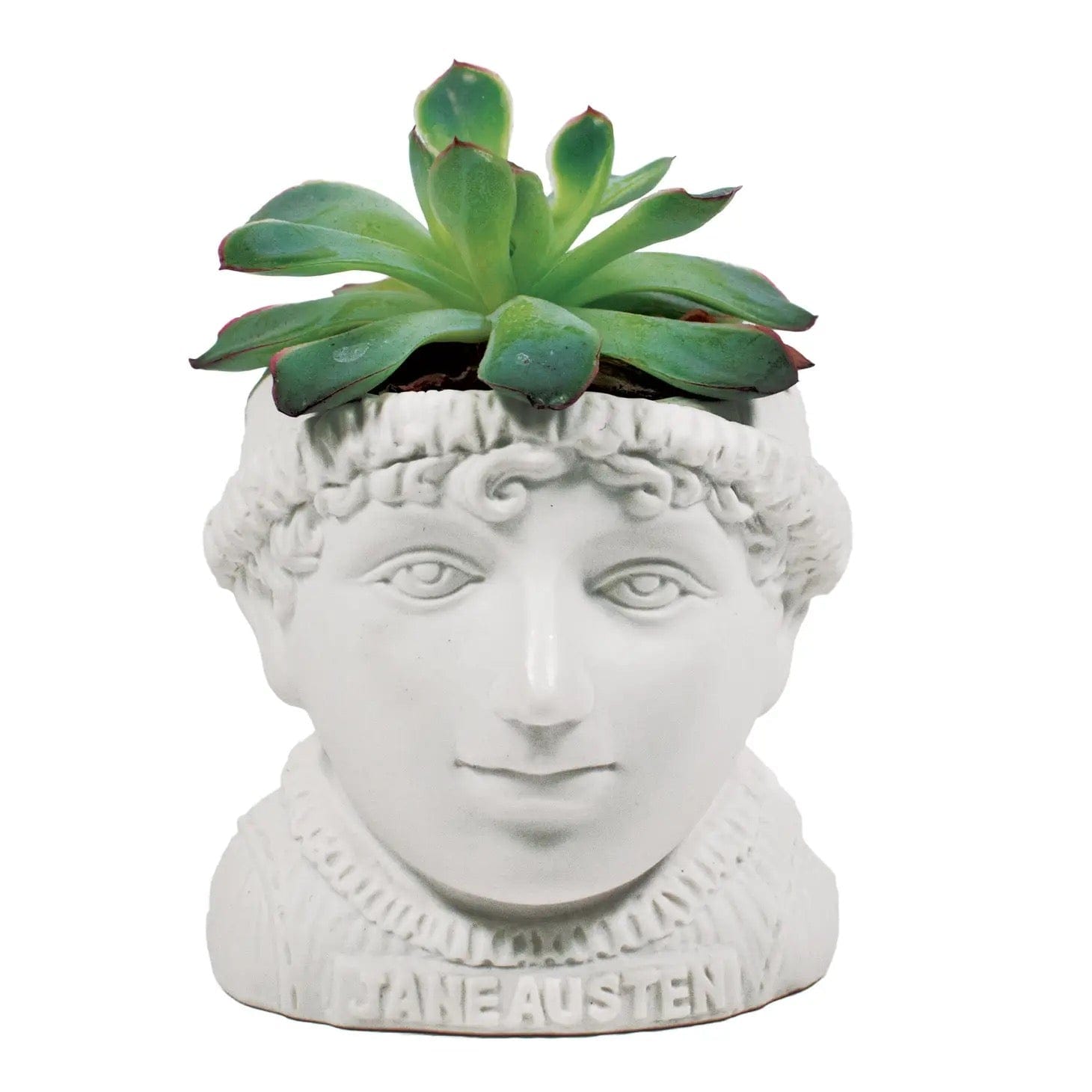 Jane Austen Plant Pot