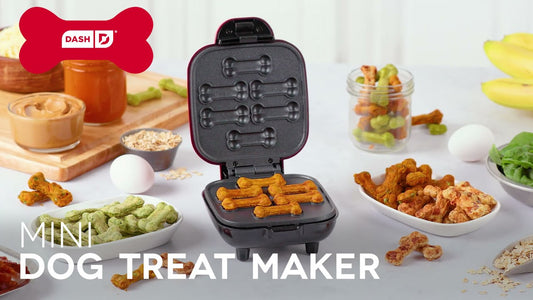 Target is Selling A Mini Halloween Dog Treat Maker Just in Time for Spooky  Season Kids Activities Blog