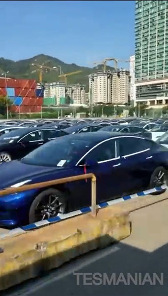 [Video] Tesla Model 3 Just Arrived in Hong Kong by the Hundreds, Targe