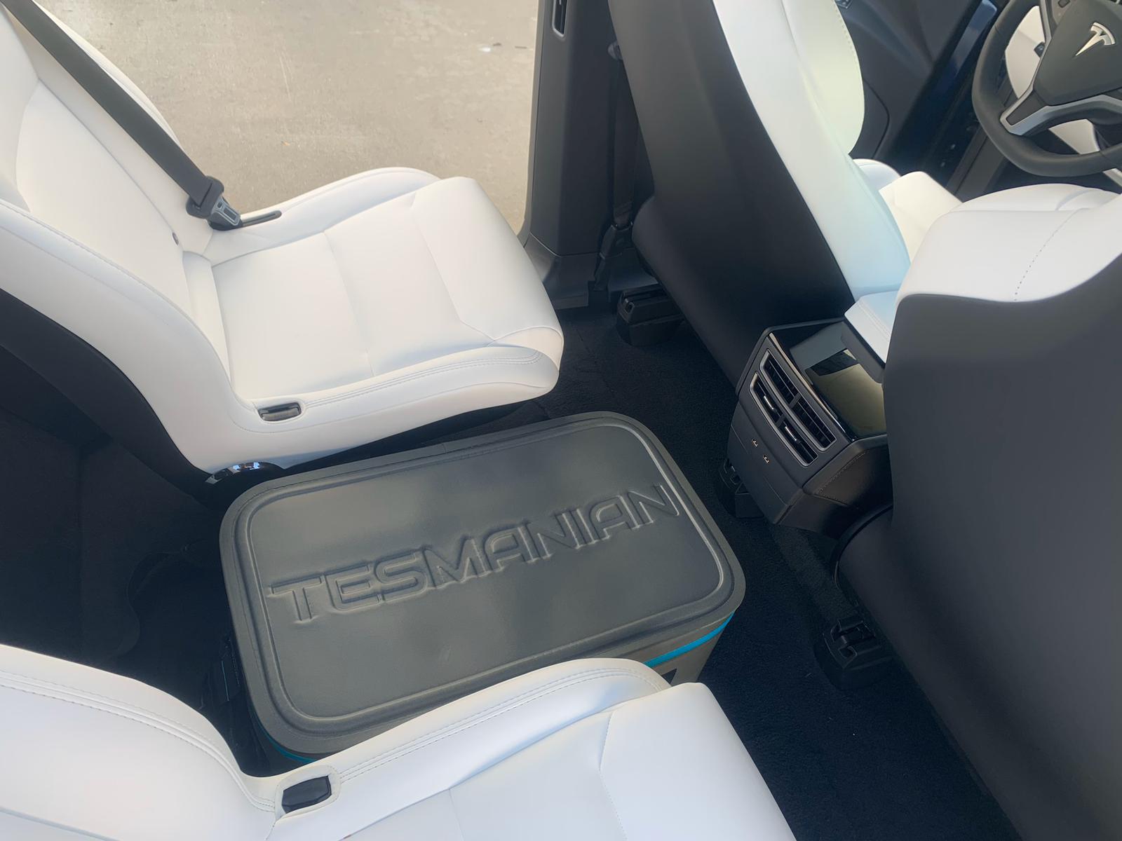 Soft Cooler For Tesla Model X Tesmanian