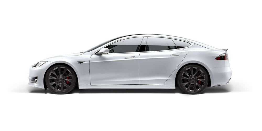 Tesla Model S Tesmanian