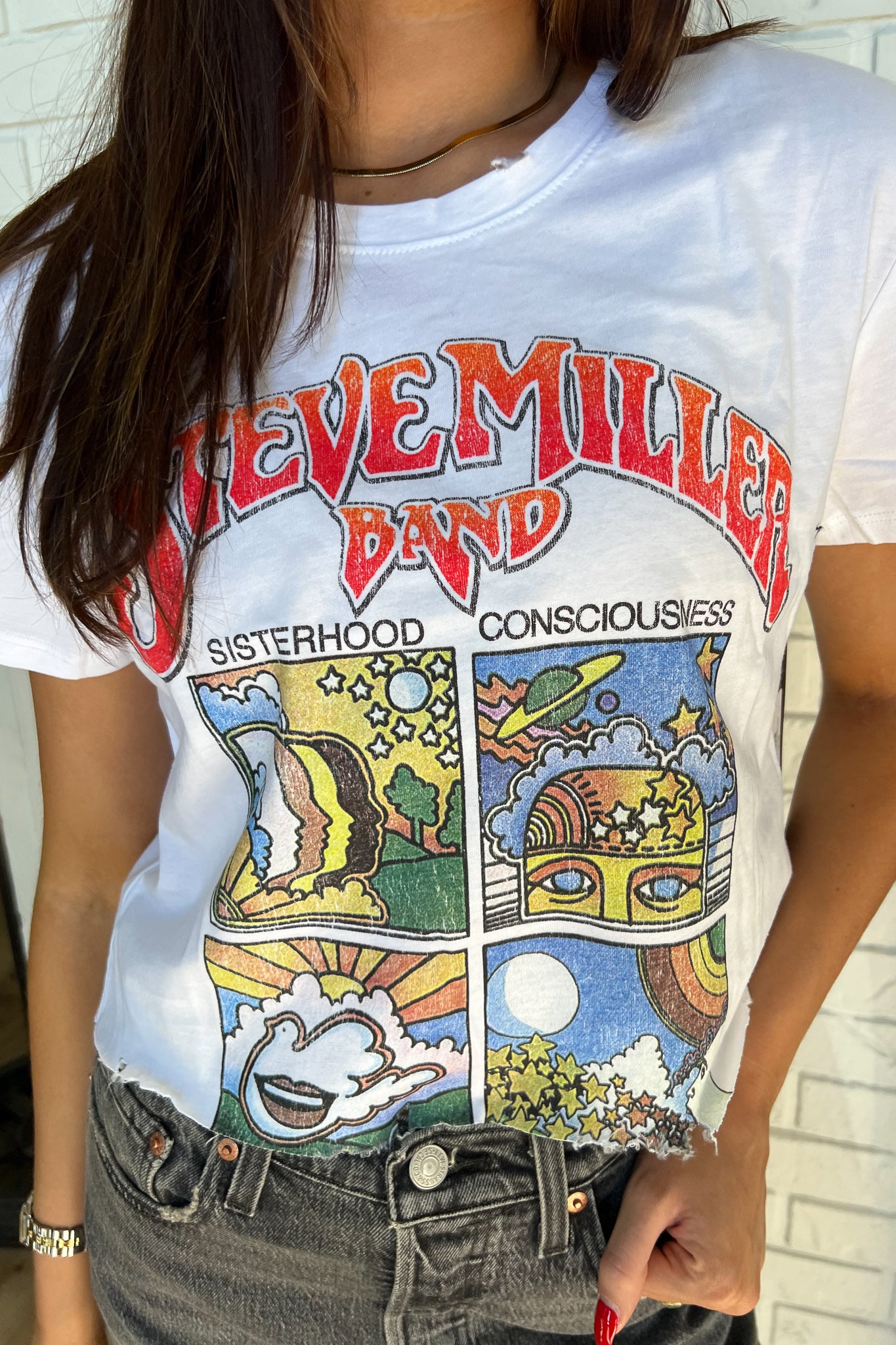 Steve Miller Boxes Crop Tee