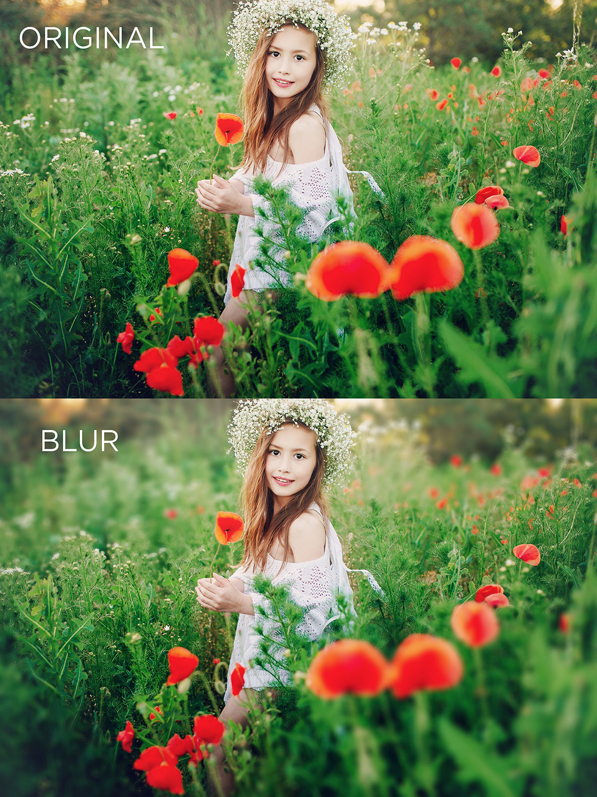 Using Lens Blur in Photoshop to Create Shallow Depth of ...