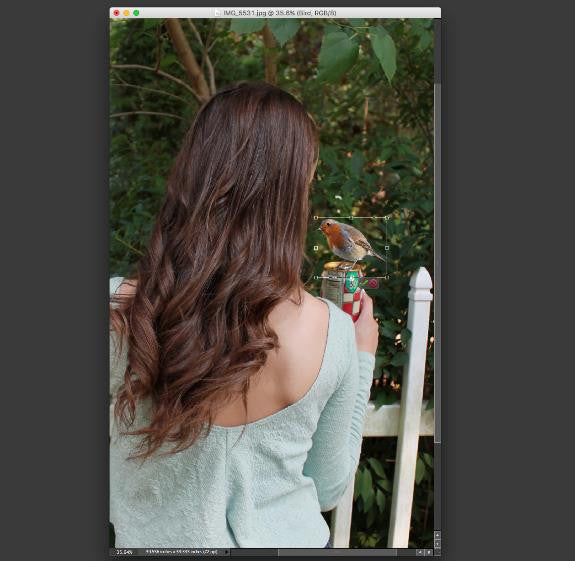 Photoshop move tool
