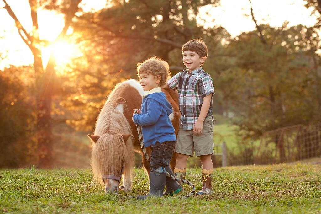 Animal-Themed Child Photography Sessions