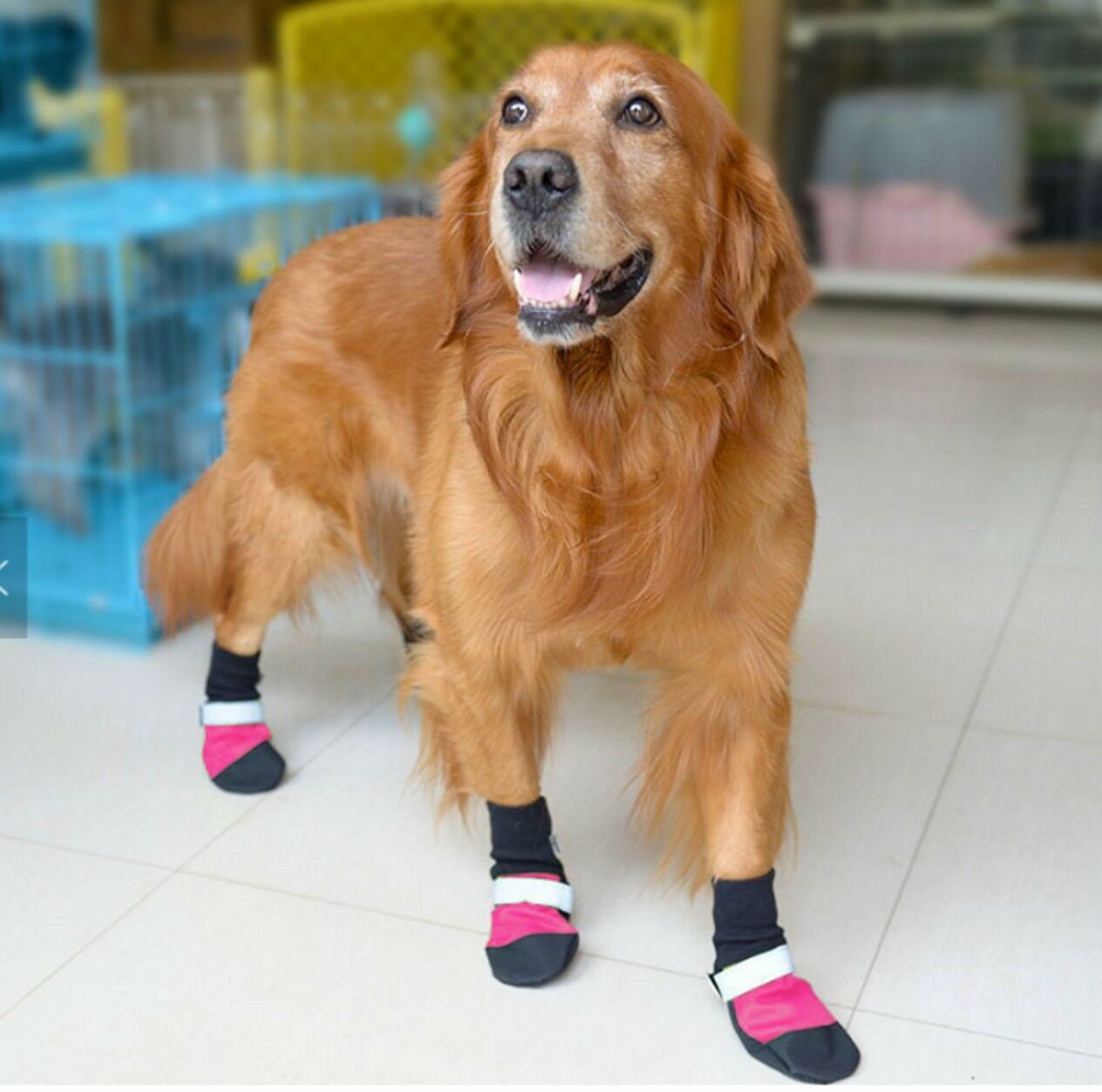 4 pcs Dog boots shoes waterproof sole 